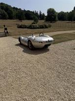 lister-knobbly-jaguar