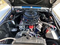 shelby-gt350r-1965-fia