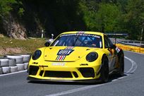 porsche-911-gt3-cup-9912