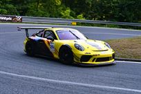 porsche-911-gt3-cup-9912