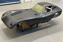 carbon-fiber-body-cheetah-racecar