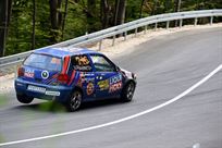 vw-polo-racing