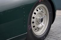 lister-knobbly