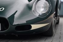 lister-knobbly