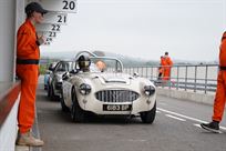 1958-austin-healey-100-6m-bn6
