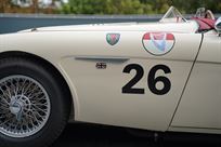 1958-austin-healey-100-6m-bn6