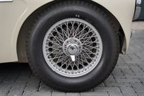 1958-austin-healey-100-6m-bn6