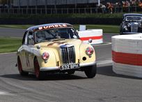 mg-magnette-za