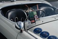 1955-austin-healey-100s