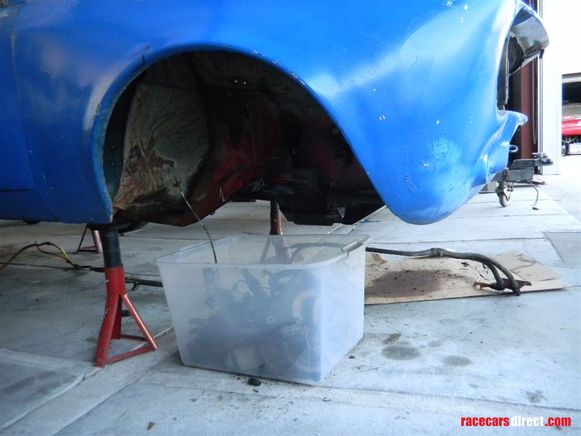 1969-alfa-romeo-gtam