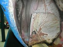 1969-alfa-romeo-gtam