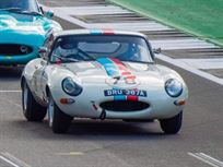 semi-lightweight-etype