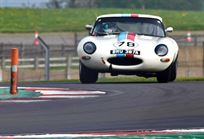 semi-lightweight-etype