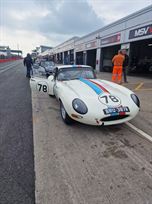 semi-lightweight-etype