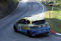 renault-clio-cup-v