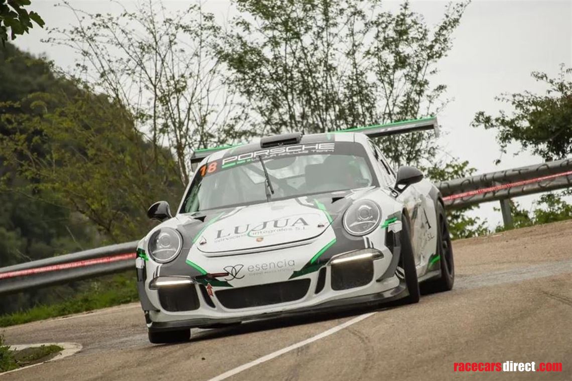 porsche-9911-cup-hill-climb-rallye