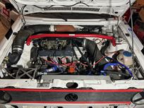 vw-golf-1-16-gr-2---fia-htp---zebra