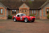 ac-cobra-289-fia-race-car