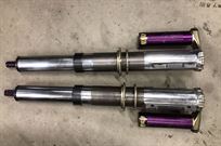 reiger-shocks---skoda-fabia-s2000