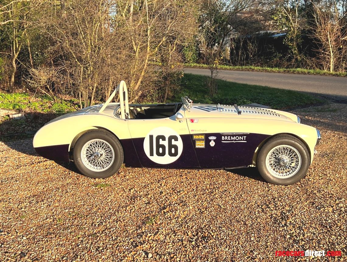1954-austin-healey-100-race-car
