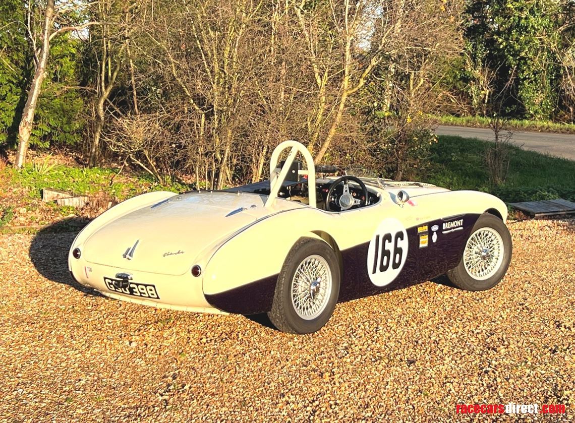 1954-austin-healey-100-race-car