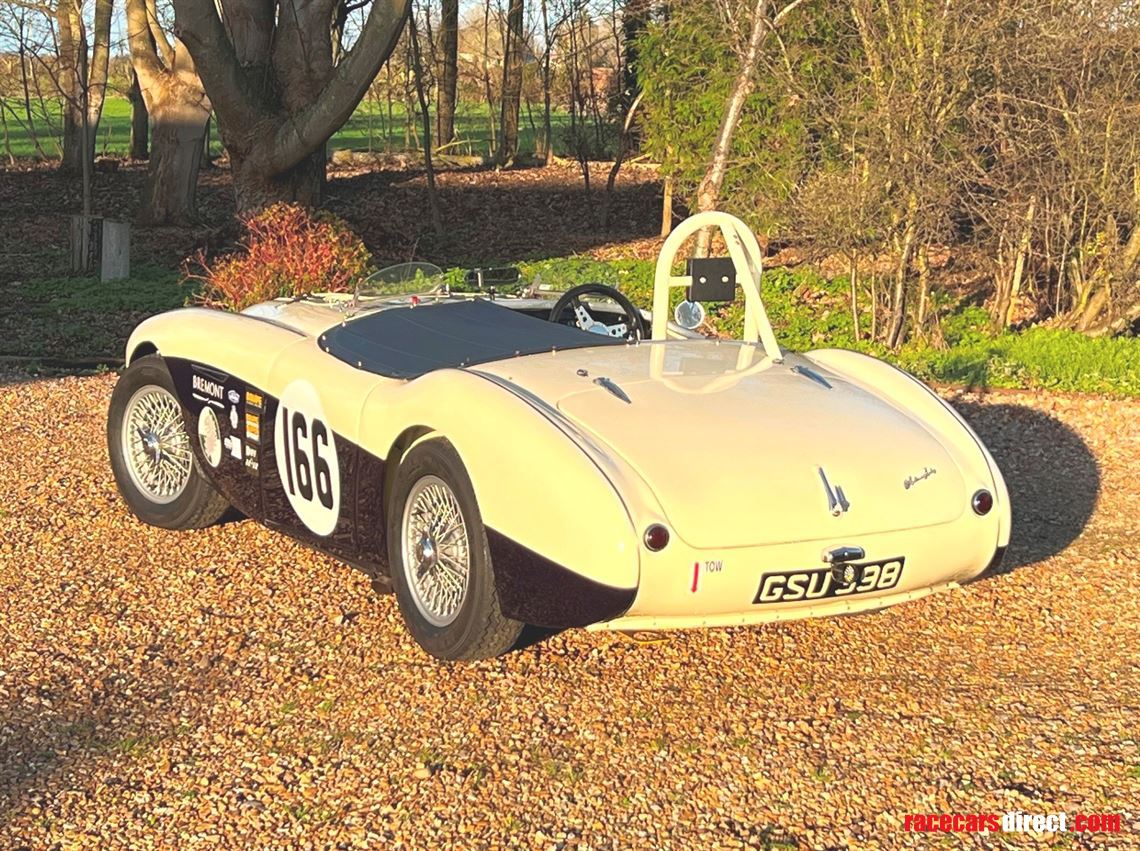1954-austin-healey-100-race-car