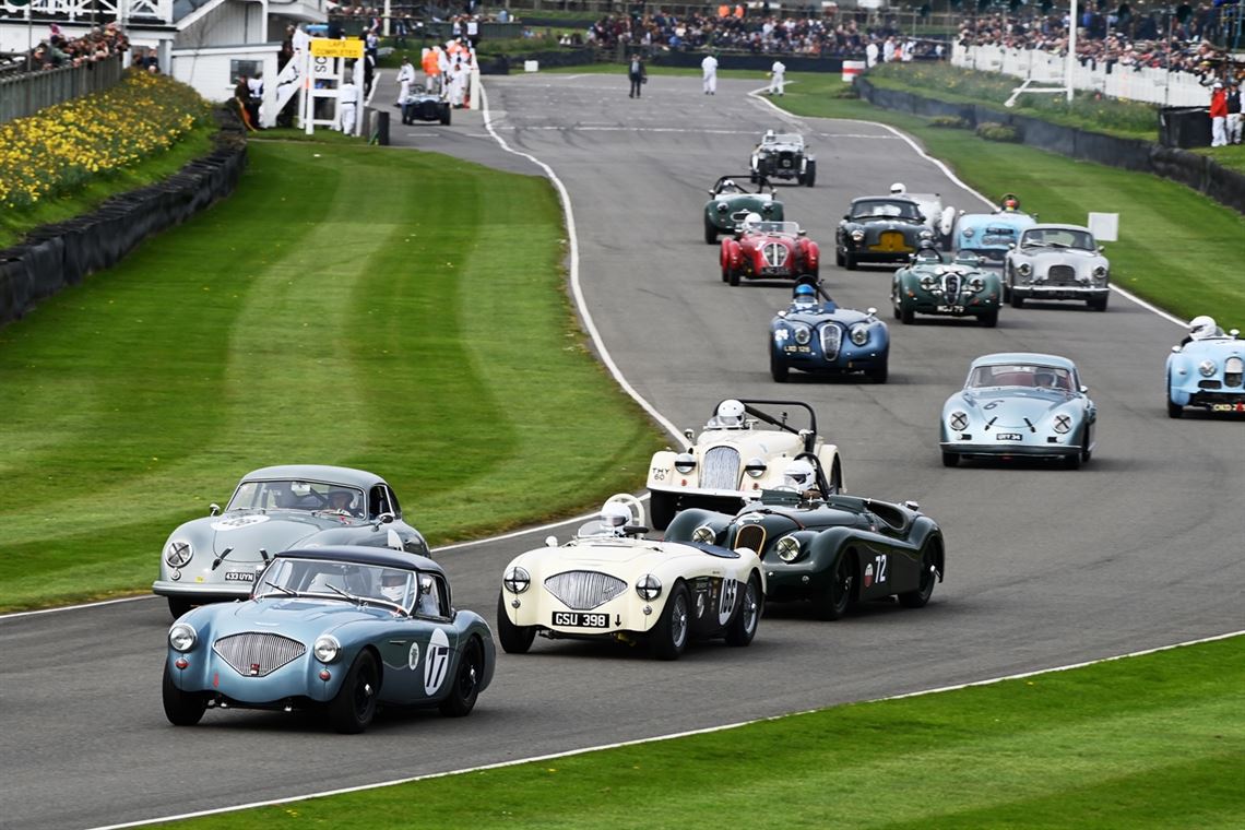 1954-austin-healey-100-race-car