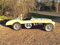 1954-austin-healey-100-race-car