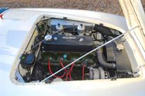 1954-austin-healey-100-race-car