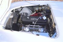 1954-austin-healey-100-race-car