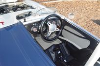 1954-austin-healey-100-race-car