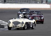 1954-austin-healey-100-race-car