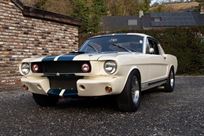 shelby-gt350