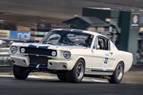 shelby-gt350
