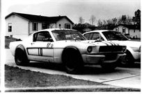 shelby-gt350
