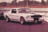 shelby-gt350