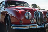 jaguar-mk-2-race-car---fia-htp