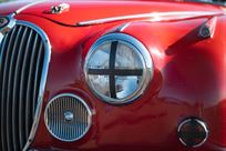 jaguar-mk-2-race-car---fia-htp