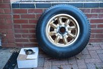 jaguar-mk-2-race-car---fia-htp