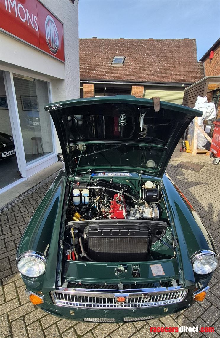 mgb-race-car-fia-papers