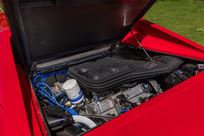 1978-ferrari-dino-308-gt4-competition-car