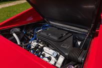 1978-ferrari-dino-308-gt4-competition-car