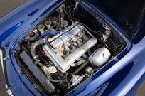 1962-alfa-romeo-giulia-spider-fia