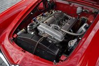 1965-alfa-romeo-giulia-101-spider-veloce