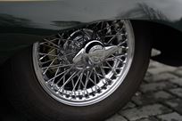 2020-westfield-eleven