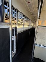 iveco-stralis-lehel-horsebox