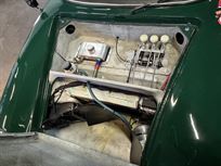 lotus-47