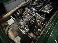 lotus-47