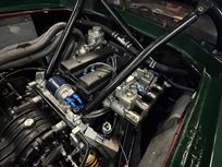 lotus-47