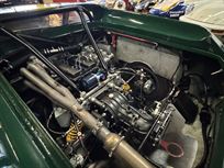 lotus-47